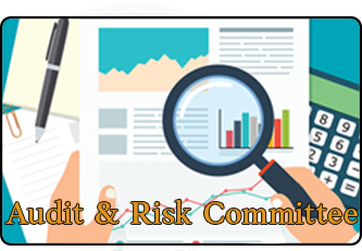Audit Commiteee