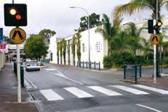 Wombat Crossings